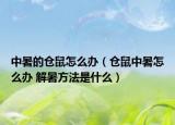 中暑的倉鼠怎么辦（倉鼠中暑怎么辦 解暑方法是什么）