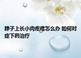 脖子上長小肉疙瘩怎么辦 如何對癥下藥治療