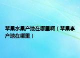 蘋果水果產(chǎn)地在哪里?。ㄌO果李產(chǎn)地在哪里）