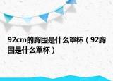 92cm的胸圍是什么罩杯（92胸圍是什么罩杯）