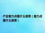 產(chǎn)業(yè)著力點是什么意思（著力點是什么意思）