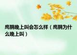 鷹鵑晚上叫會怎么樣（鷹鵑為什么晚上叫）