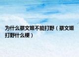 為什么蔡文姬不能打野（蔡文姬打野什么梗）