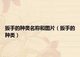 扳手的種類名稱和圖片（扳手的種類）