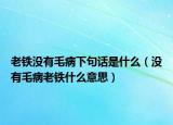 老鐵沒有毛病下句話是什么（沒有毛病老鐵什么意思）