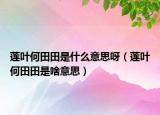 蓮葉何田田是什么意思呀（蓮葉何田田是啥意思）