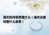 潼關(guān)的詩意思是什么（潼關(guān)這首詩是什么意思）