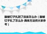 腳被釘子扎到了應(yīng)該怎么辦（腳被釘子扎了怎么辦 具體方法供大家參考）