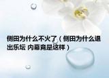 側(cè)田為什么不火了（側(cè)田為什么退出樂壇 內(nèi)幕竟是這樣）