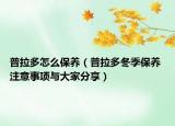 普拉多怎么保養(yǎng)（普拉多冬季保養(yǎng) 注意事項(xiàng)與大家分享）