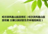 哈爾濱鳳凰山旅游景區(qū)（哈爾濱鳳凰山旅游攻略 主要以良好的生態(tài)環(huán)境而聞名）