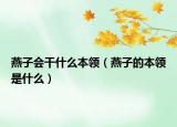 燕子會(huì)干什么本領(lǐng)（燕子的本領(lǐng)是什么）