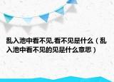 亂入池中看不見(jiàn),看不見(jiàn)是什么（亂入池中看不見(jiàn)的見(jiàn)是什么意思）