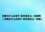 蒼蠅為什么總搓手 原來是這么一回事呢（蒼蠅為什么總搓手 原來是這么一回事）