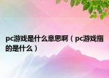 pc游戲是什么意思?。╬c游戲指的是什么）