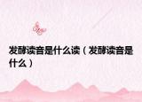 發(fā)酵讀音是什么讀（發(fā)酵讀音是什么）