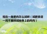 現(xiàn)在一身肥肉怎么減啊（減肥食譜 一周不重樣減掉身上的肉肉）