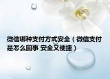 微信哪種支付方式安全（微信支付是怎么回事 安全又便捷）