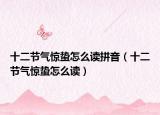 十二節(jié)氣驚蟄怎么讀拼音（十二節(jié)氣驚蟄怎么讀）