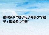 鋼琴多少個鍵子電子琴多少個鍵子（鋼琴多少個鍵）