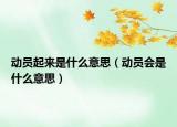 動員起來是什么意思（動員會是什么意思）