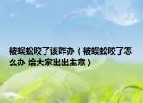 被蜈蚣咬了該咋辦（被蜈蚣咬了怎么辦 給大家出出主意）