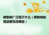 碳酸鈉廣泛用于什么（碳酸鈉的用途都包括哪些）