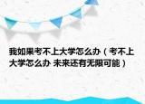 我如果考不上大學(xué)怎么辦（考不上大學(xué)怎么辦 未來還有無限可能）