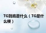 TG到底是什么（TG是什么梗）