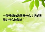 一種帶蛆的奶酪是什么（活蛆乳酪為什么被禁止）