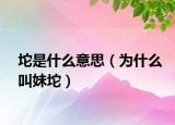 坨是什么意思（為什么叫妹坨）