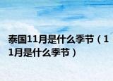 泰國(guó)11月是什么季節(jié)（11月是什么季節(jié)）