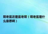 哥老官還是官老哥（哥老官是什么意思?。? /></span></a>
                        <h2><a href=