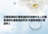 白葡萄酒和紅葡萄酒的區(qū)別是什么（白葡萄酒和紅葡萄酒的區(qū)別 你都能夠辨認(rèn)清楚嗎）