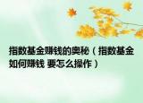 指數(shù)基金賺錢的奧秘（指數(shù)基金如何賺錢 要怎么操作）