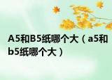 A5和B5紙哪個大（a5和b5紙哪個大）