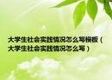 大學生社會實踐情況怎么寫模板（大學生社會實踐情況怎么寫）