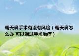 朝天鼻手術(shù)有沒有風(fēng)險（朝天鼻怎么辦 可以通過手術(shù)治療）