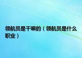 領(lǐng)航員是干嘛的（領(lǐng)航員是什么職業(yè)）