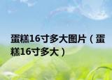 蛋糕16寸多大圖片（蛋糕16寸多大）