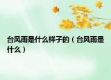 臺風(fēng)雨是什么樣子的（臺風(fēng)雨是什么）