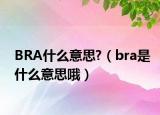 BRA什么意思?（bra是什么意思哦）