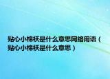 貼心小棉襖是什么意思網(wǎng)絡(luò)用語（貼心小棉襖是什么意思）