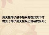 滿天星椰子是不是只有在燈光下才發(fā)光（椰子滿天星晚上就會發(fā)光嗎）