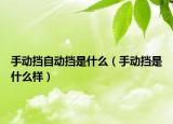 手動擋自動擋是什么（手動擋是什么樣）
