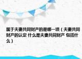 屬于夫妻共同財產(chǎn)的是哪一項（夫妻共同財產(chǎn)的認定 什么是夫妻共同財產(chǎn) 包括什么）