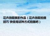 花卉微距攝影作品（花卉微距拍攝技巧 快使用這種方式拍攝吧）