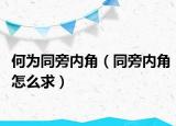何為同旁內(nèi)角（同旁內(nèi)角怎么求）