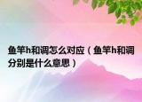 魚竿h和調(diào)怎么對(duì)應(yīng)（魚竿h和調(diào)分別是什么意思）