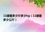 11磅是多少斤多少kg（11磅是多少公斤）
